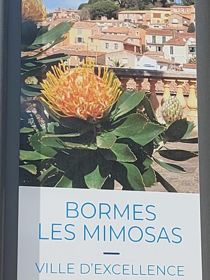 T2-Clim-Fibre-Garage 2,30 X 4,95 X 1,90 A La Faviere Apartment Bormes-les-Mimosas Exterior foto